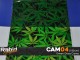 Green Grass Camo (100cm)