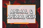 Animal/Animal Skins