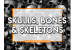 Skulls, Bones & Skeletons